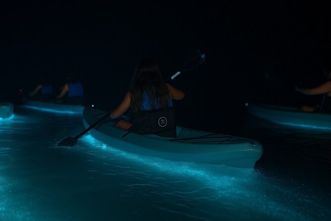 Kayak Tours and Rentals. Dolphins, Manatees, and Bioluminescence! - Key points to know before you paddle