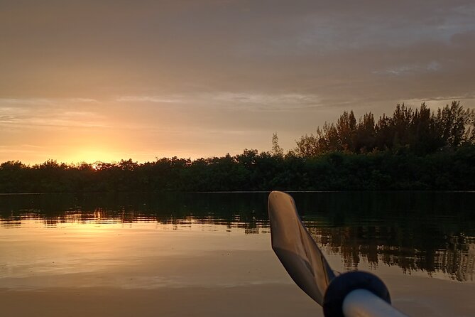 Kayak Tours and Rentals. Dolphins, Manatees, and Bioluminescence! - Why the Indian River Lagoon makes a good paddle setting