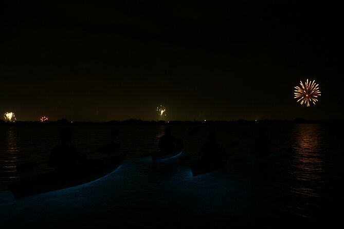 Kayak Tours and Rentals. Dolphins, Manatees, and Bioluminescence! - The guides are a major part of the value