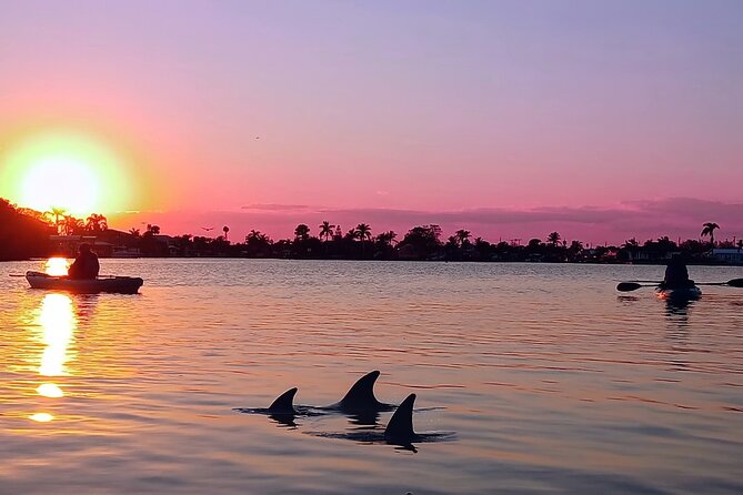 Kayak Tours and Rentals. Dolphins, Manatees, and Bioluminescence! - What $55 includes and what it does not