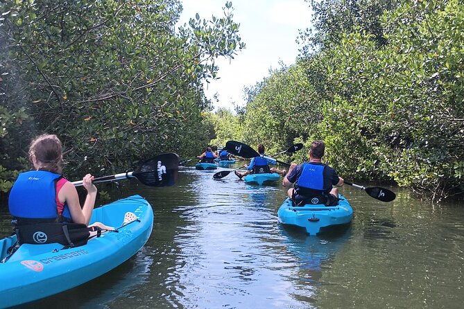 Kayak Tours and Rentals. Dolphins, Manatees, and Bioluminescence! - Weather, fitness, and the realities of outdoor plans