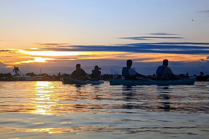 Kayak Tours and Rentals. Dolphins, Manatees, and Bioluminescence! - Who will get the most from this experience