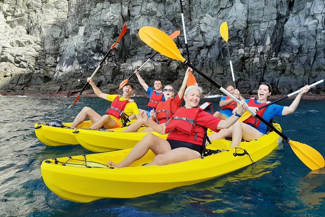Kayak with Dolphin & Turtle Watching Private Tour - Key points at a glance