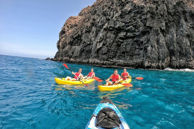 Kayak with Dolphin & Turtle Watching Private Tour - How hard is the three-hour paddle?
