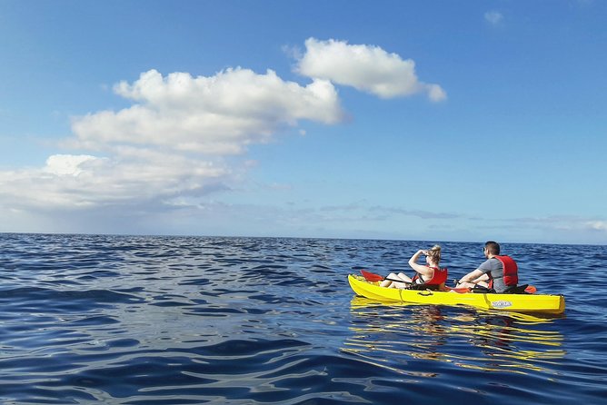 Kayak with Dolphin & Turtle Watching Private Tour - Pickup, timing, and booking details