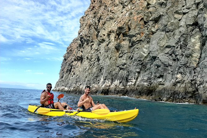 Kayak with Dolphin & Turtle Watching Private Tour - Looking for dolphins, turtles, and birds