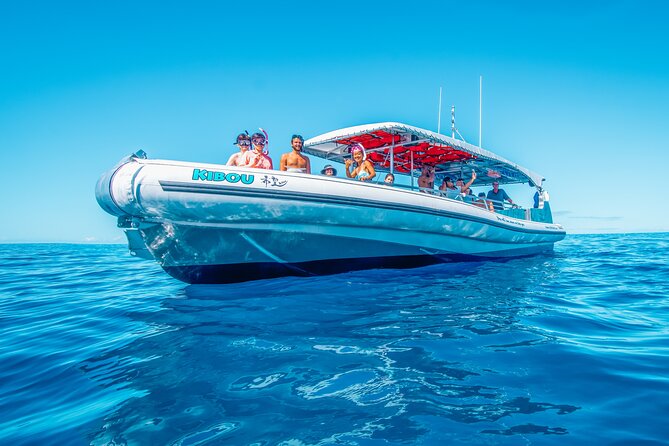 Kealakekua Bay Snorkel & Dolphin Safari In Kona Big Island (4hrs) - From coral reef to open-water wildlife