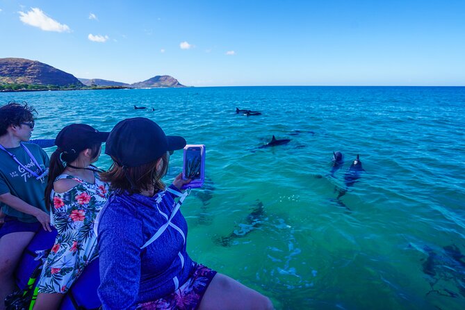 Kealakekua Bay Snorkel & Dolphin Safari In Kona Big Island (4hrs) - Who will enjoy this Kona boat trip most