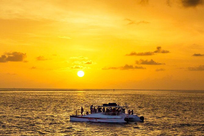 Key West Dolphin and Snorkel Experience - Key points at a glance