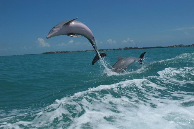Key West Dolphin and Snorkel Experience - A sunset return along South Beach