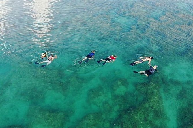 Key West Dolphin and Snorkel Experience - Who should book this Key West boat trip?