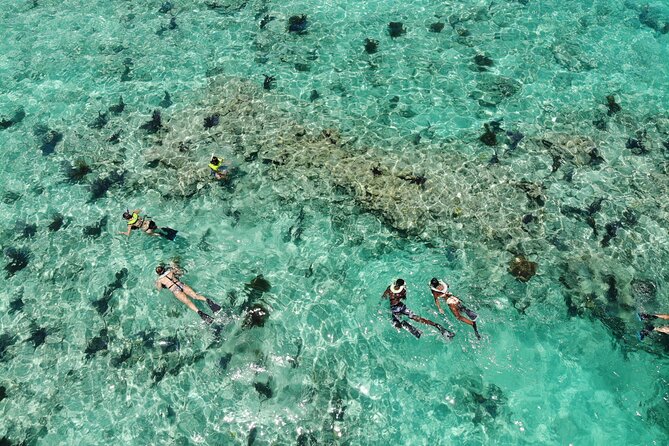 Key West Dolphin and Snorkel Experience - Searching for dolphins in the Florida Keys National Marine Sanctuary