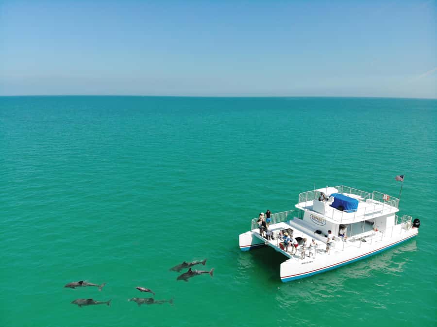 Key West: Dolphin & Reef Snorkel Trip with Sunset Option - What to expect at the reef snorkeling stop