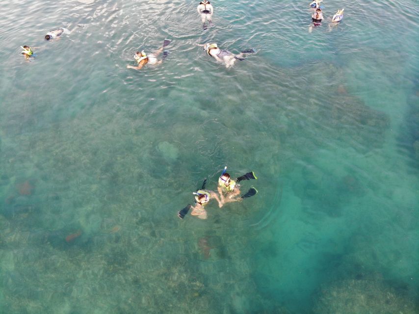 Key West: Dolphin & Reef Snorkel Trip with Sunset Option - The return cruise, drinks, and sunset choice