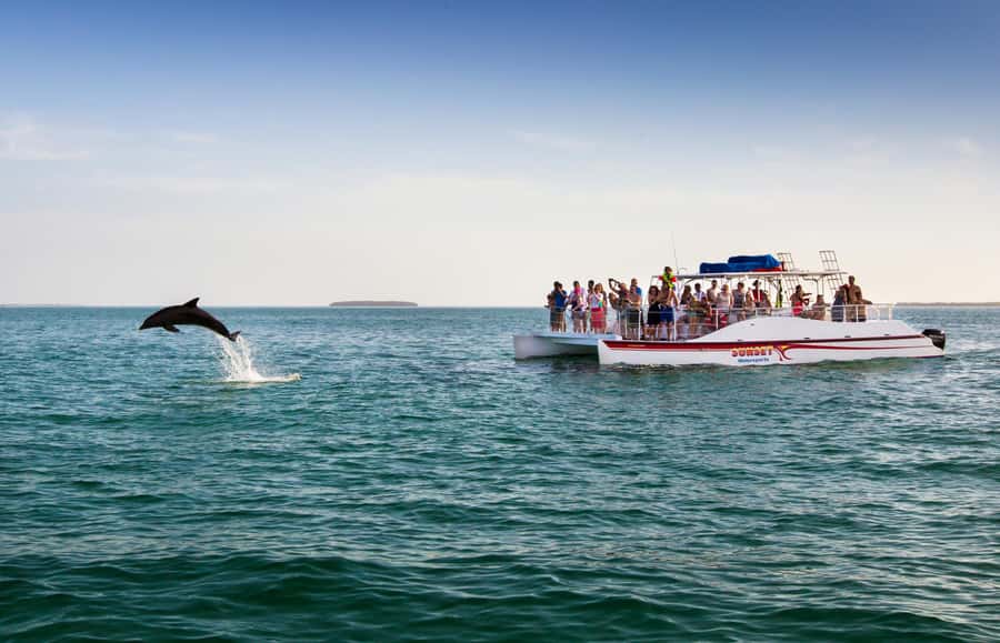 Key West: Dolphin & Reef Snorkel Trip with Sunset Option - Sun, shade, and the practical comfort question