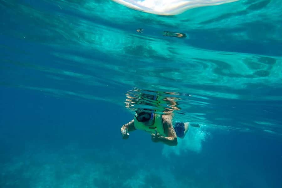 Key West: Dolphin & Reef Snorkel Trip with Sunset Option - Who will get the most from this tour