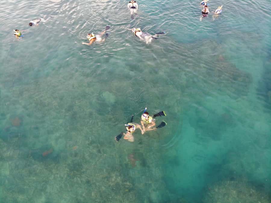Key West: Dolphin & Reef Snorkel Trip with Sunset Option - How the value compares with a single-activity trip
