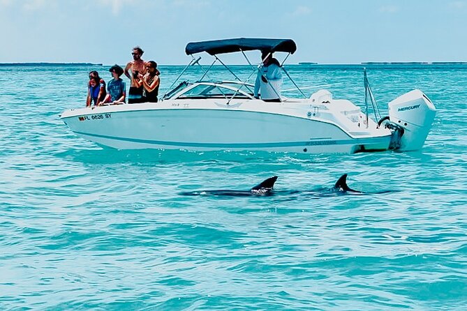 Key West Dolphin & Snorkeling Tour - Small Group - From Stock Island Marina to Open Water
