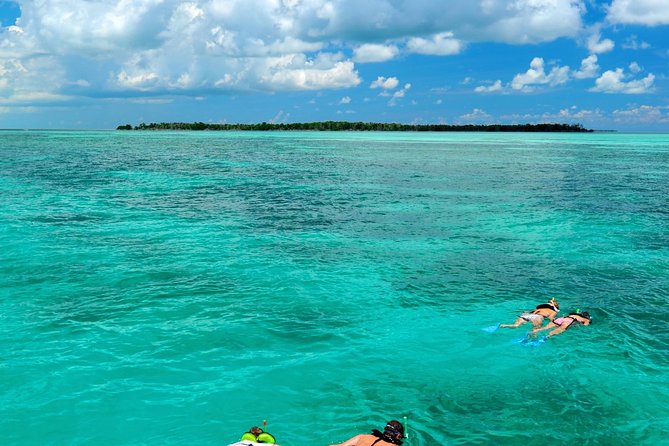 Key West Dolphin Watch and Snorkel Tour - Eco Adventure - A three-hour escape from Key West