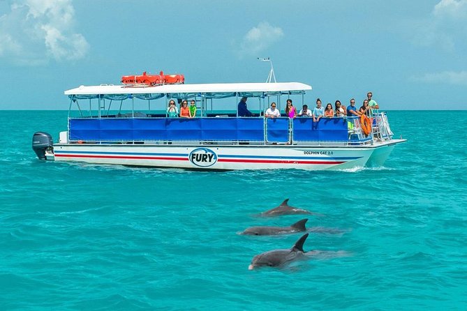 Key West Dolphin Watch and Snorkel Tour - Eco Adventure - Second stop: shallow-water snorkeling in the Gulf
