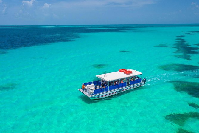 Key West Dolphin Watch and Snorkel Tour - Eco Adventure - What the boat and crew add to the day