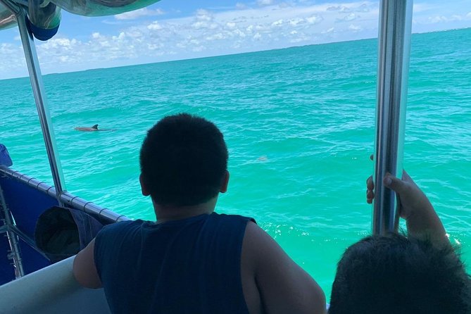 Key West Dolphin Watch and Snorkel Tour - Eco Adventure - Should you book the Dolphin Watch and Snorkel?