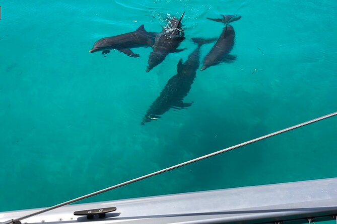Key West Dolphin Watch and Sunset Sail on Catamaran - From Margaret Street to Open Water