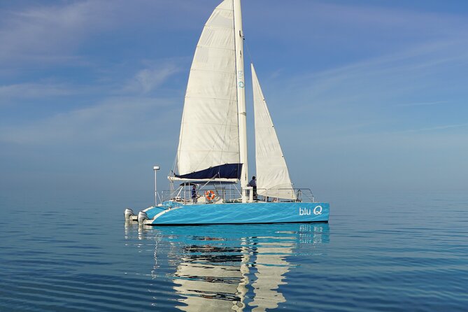 Key West Dolphin Watch and Sunset Sail on Catamaran - Fresh Snacks and a Bring-Your-Own Drink Policy