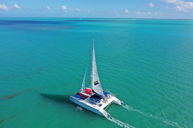 Key West Dolphin Watch and Sunset Sail on Catamaran - Who Will Like This Catamaran Trip