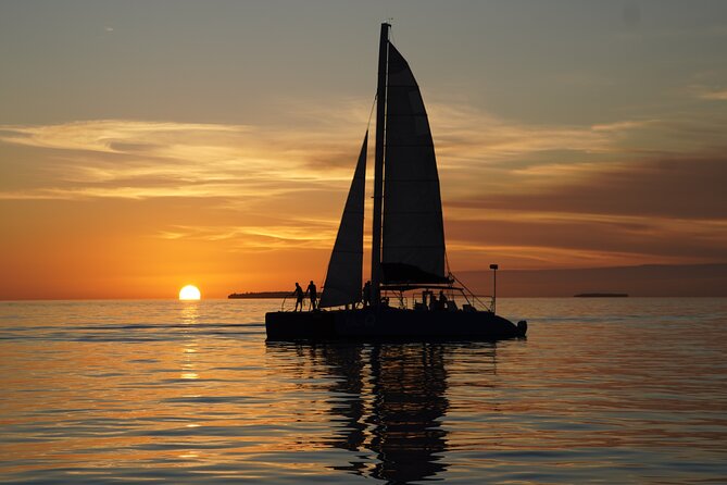 Key West Dolphin Watch and Sunset Sail on Catamaran - Searching for Dolphins in Daylight