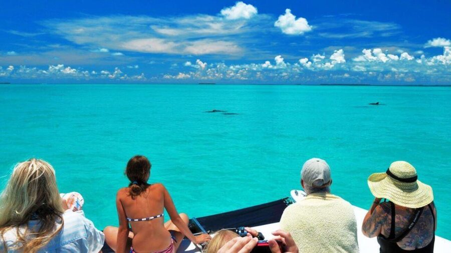 Key West: Dolphin Watching and Snorkeling Eco Cruise Tour - From Captain’s Corner to the open Gulf