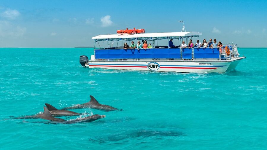 Key West: Dolphin Watching and Snorkeling Eco Cruise Tour - Snorkeling the Key West backcountry