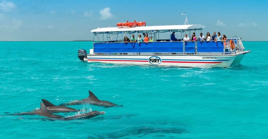 Key West: Dolphin Watching and Snorkeling Eco Cruise Tour - Who will enjoy this cruise most