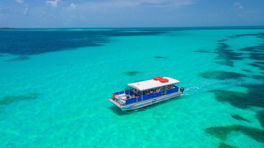 Key West: Dolphin Watching and Snorkeling Eco Cruise Tour - Practical timing and booking advice