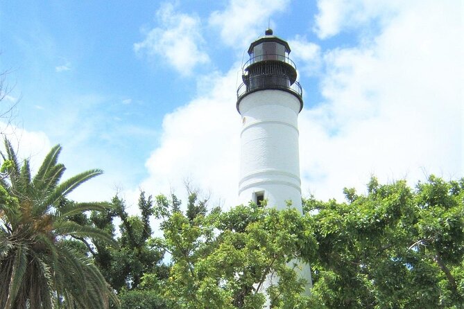 Key West: Dolphin Watching cruise & Snorkeling unlimited beer & soda - Key points to know before you book