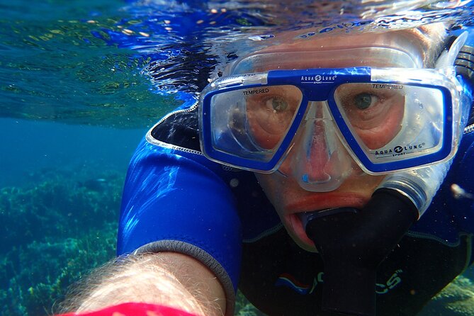 Key West: Dolphin Watching cruise & Snorkeling unlimited beer & soda - Choosing morning or sunset