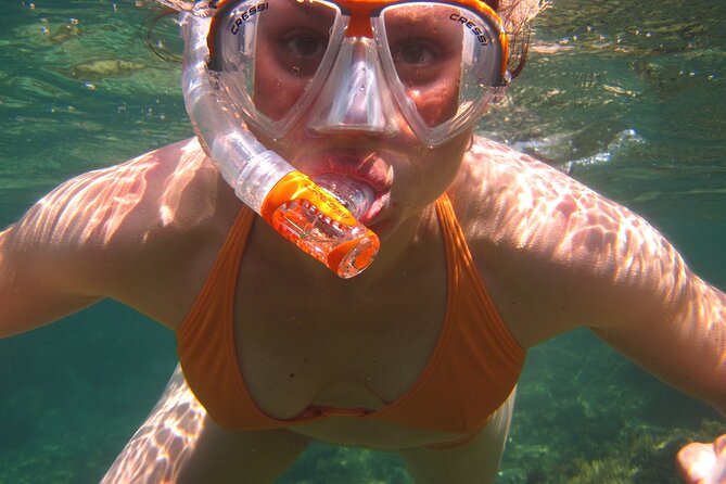 Key West: Dolphin Watching cruise & Snorkeling unlimited beer & soda - Is $89.99 a good value?
