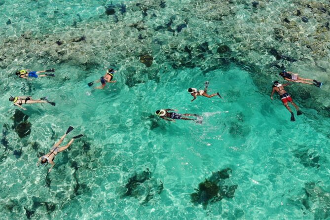 Key West: Dolphin Watching cruise & Snorkeling unlimited beer & soda - What to bring and how to prepare