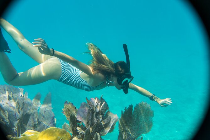 Key West Private Charter: Sandbar and Snorkeling - What your four hours in Key West can look like
