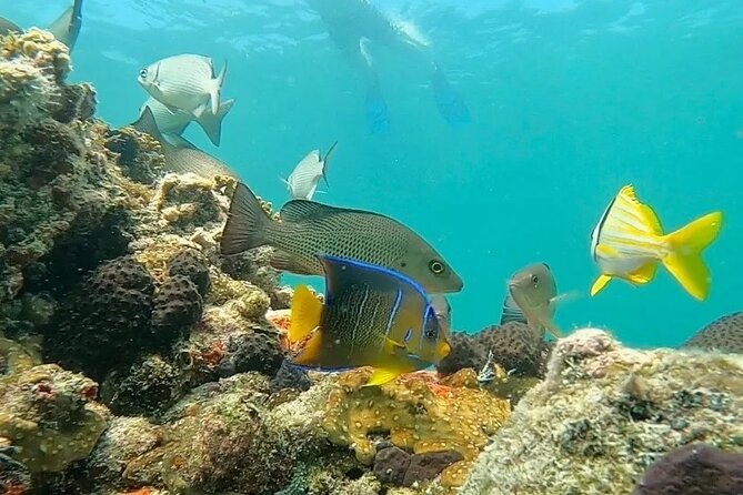 Key West Private Charter: Sandbar and Snorkeling - The sandbar stop is the relaxed heart of the trip