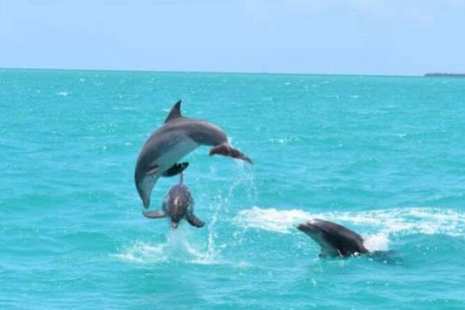 Key West's Favorite Afternoon Dolphin Sail - Leaving Key West’s Historic Seaport