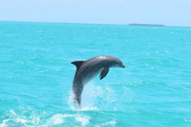 Key West's Favorite Afternoon Dolphin Sail - Comfort, Shade, and Who Will Enjoy It
