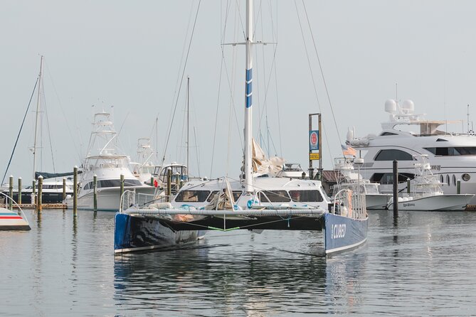 Key West's Favorite Afternoon Dolphin Sail - Small Details That Make the Trip Better