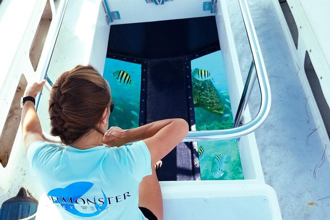 Key West: Snorkel, Sandbar & Dolphin Excursion - Exploring the Florida Keys National Marine Sanctuary