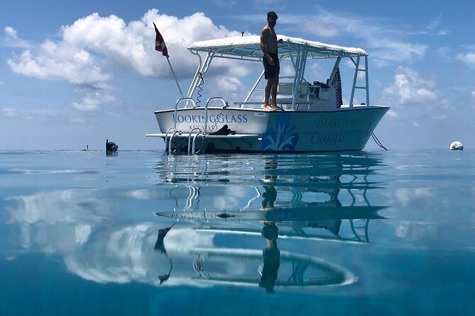 Key West: Snorkel, Sandbar & Dolphin Excursion - The backcountry beach and sandbar stop