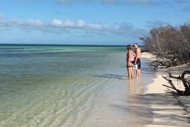 Key West: Snorkel, Sandbar & Dolphin Excursion - Dolphin watching and unexpected wildlife