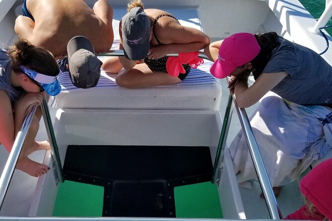 Key West: Snorkel, Sandbar & Dolphin Excursion - Who will enjoy this outing most