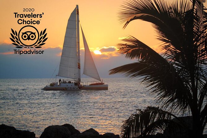 Key West Sunset Sail: Dolphin Watching, Wine, and Tapas - Crew Service and the Feel Onboard