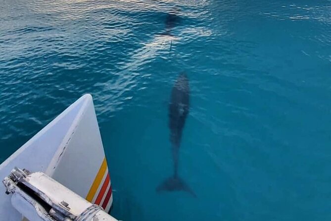 Key West Sunset Sail: Dolphin Watching, Wine, and Tapas - Leaving the Historic Seaport on Elizabeth Street