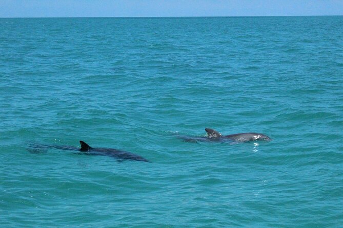 Key West Tours from Miami: Dolphin Discovery, Snorkeling & More ! - The early start from Miami Beach